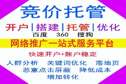 行业领先的SEM投放效果案例解析